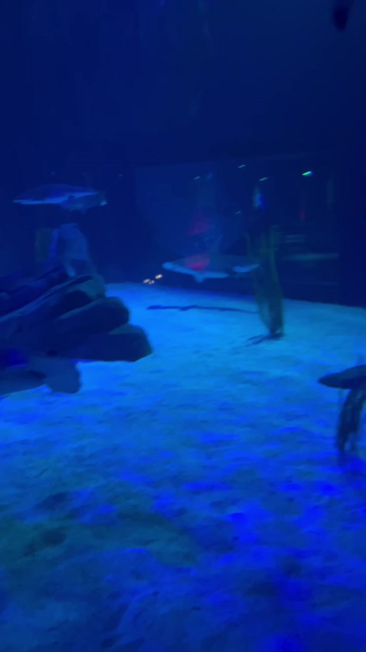 Dark event space illuminated with red and blue ambient lighting during the UnBridled program.